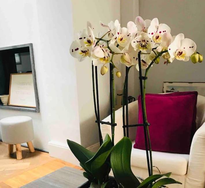 Chalet para 8 personas, con jardín y vistas - 1