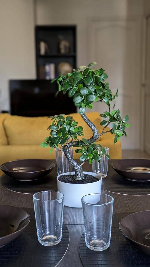 Gîte pour 4 personnes, avec terrasse ainsi que vue et jardin à Paray-Vieille-Poste - 3