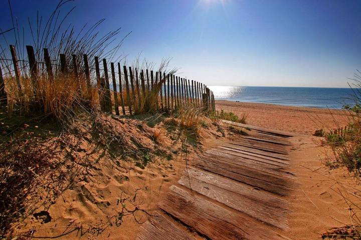 Gîte pour 3 personnes, avec terrasse à Lespignan - 4