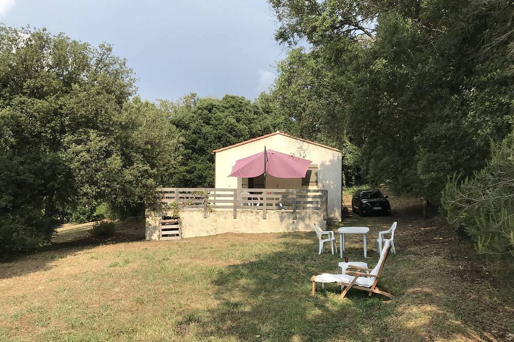 Haus auf erhöhtem Boden gebildet von 3 großen restanques, die mit ruhigen Bäumen gezeichnet werden. in Calcatoggio, Ajaccio und Umgebung