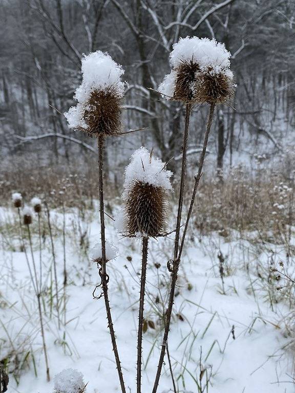 \"Sundance\" Gorgeous River Front Cabin auf 54 Morgen mit Whirlpool und spektakulärer Aussicht in Page County