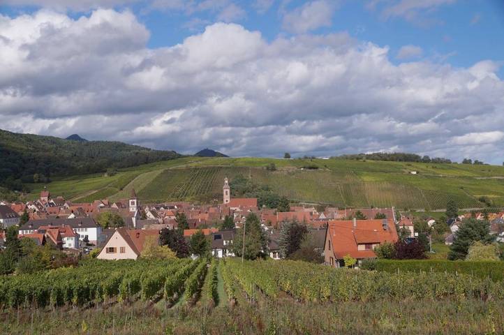 Ferienhaus für 6 Personen, mit Balkon und Terrasse sowie Garten und Ausblick in Riquewihr - 4