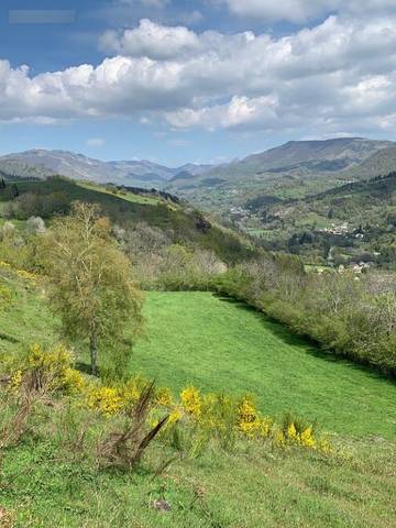 Gîte pour 7 personnes, avec jardin dans le Cantal