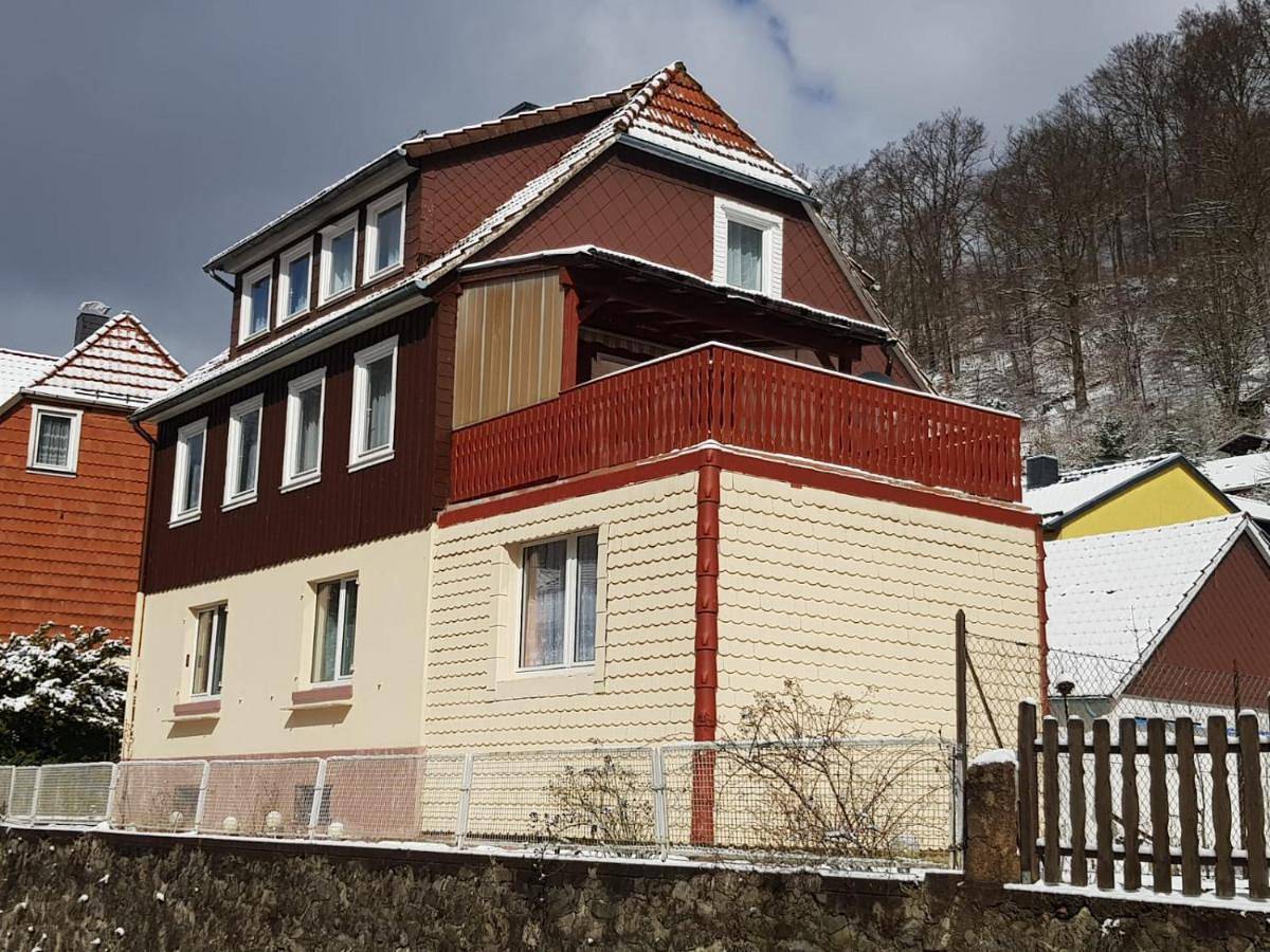 Haus am Fluss mit wunderschöner Dachterrasse mit Flussblick ,Garten und Grill in Zorge, Harzvorland