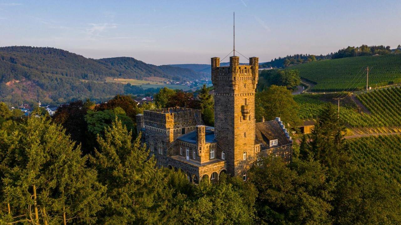 Saar Castle - cozy Mansion near vineyard in Serrig, Landkreis Trier-Saarburg