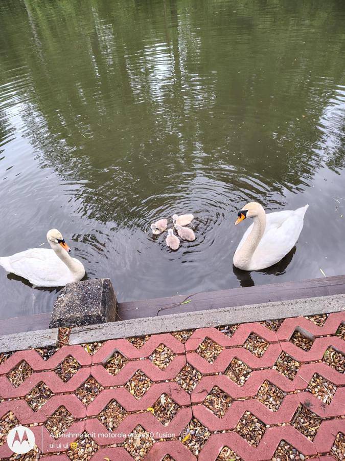Spreewaldgasthaus Petkampsberg in Schlepzig, Dahme-Spreewald