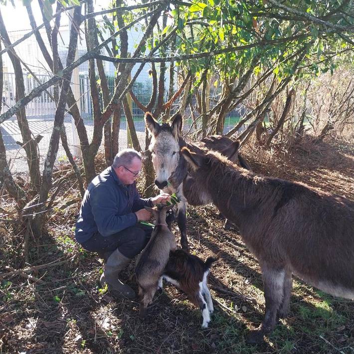 Gîte pour 4 personnes, avec vue et jardin, animaux acceptés à Gémozac - 2