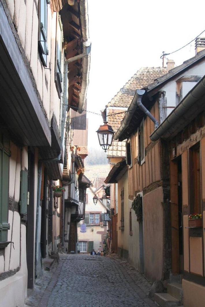 Ferienwohnung für 2 Personen, mit Ausblick und Garten in Riquewihr - 3