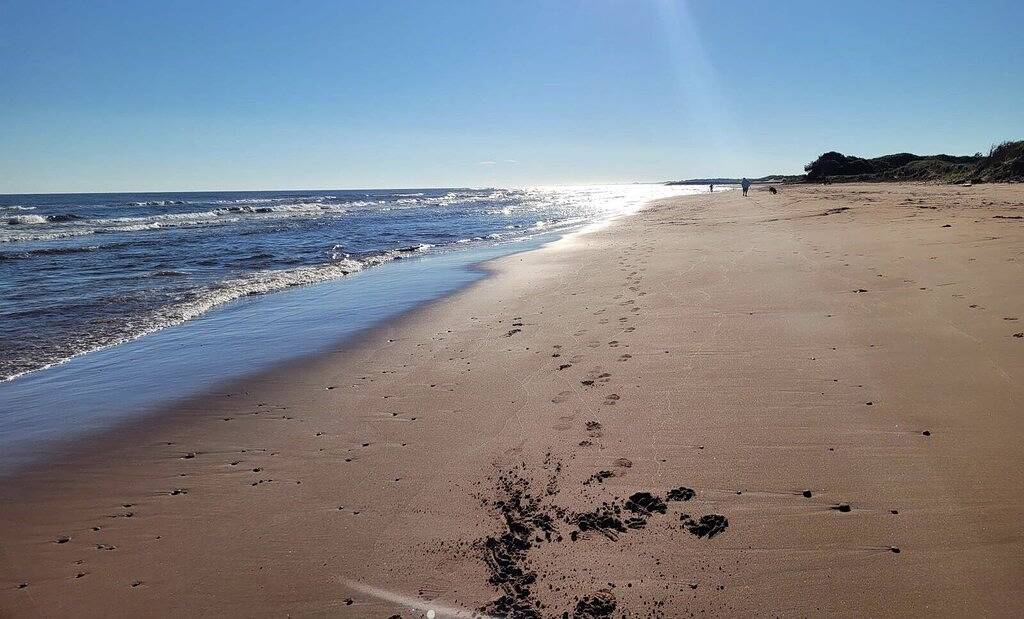 Little Haven Cottage - Ocean view 2 bedroom cottage in Savage Harbour in Kings County (Kanada)