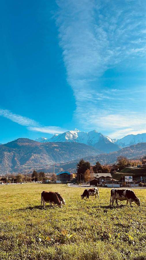 Gîte pour 2 personnes, avec terrasse et vue à Domancy - 3