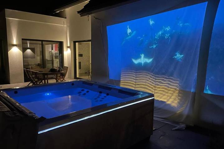 Location de vacances pour 10 personnes, avec jardin et jacuzzi dans Hurtigheim