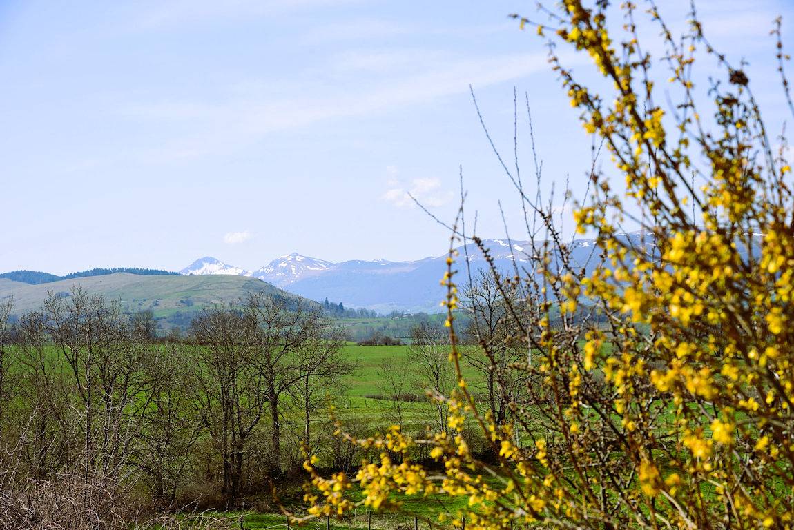 Gîte de la Cocotte in Marchastel, Parc naturel régional des Volcans d'Auvergne
