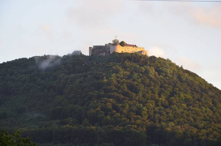 Entire apartment, Zaunkönig Apartment, 35 m², Living/Sleeping Area, Max. 2 Guests in Beuren, Albsteig Stage 9