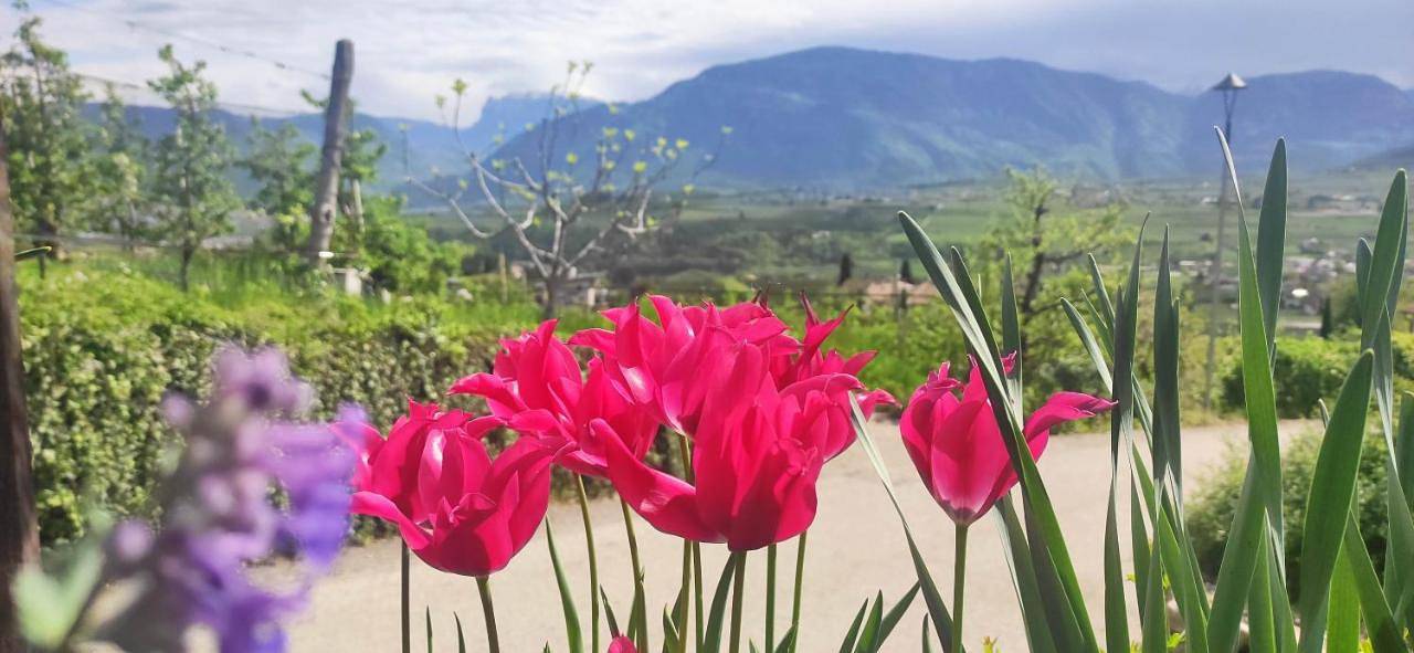 Ganze Wohnung, Villa Montis Exclusive Holiday Apartments in Eppan with Spectacular Views of Dolomites and Bolzano Area in Berg (Eppan), Eppan an der Weinstraße
