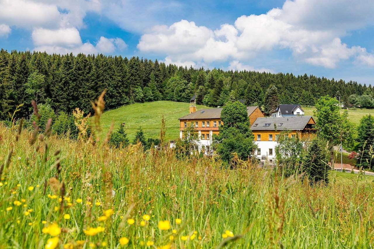 Landhaus Bergidyll in Bärenstein, Erzgebirge