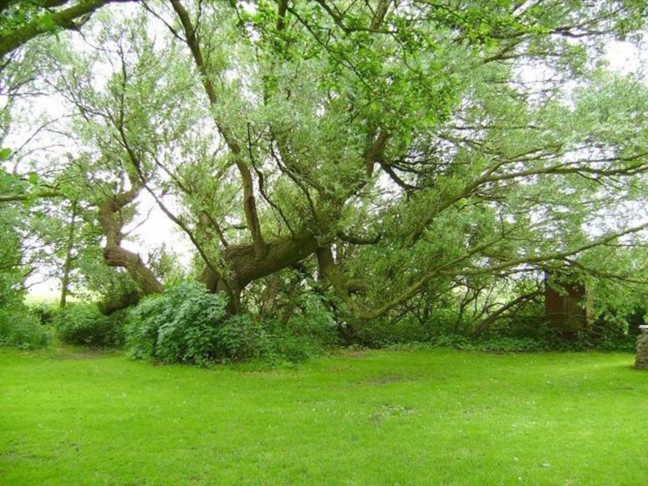 Pension Bed & Breakfast hinterm Nordseedeich in Friedrichskoog, Friedrichskoog Region