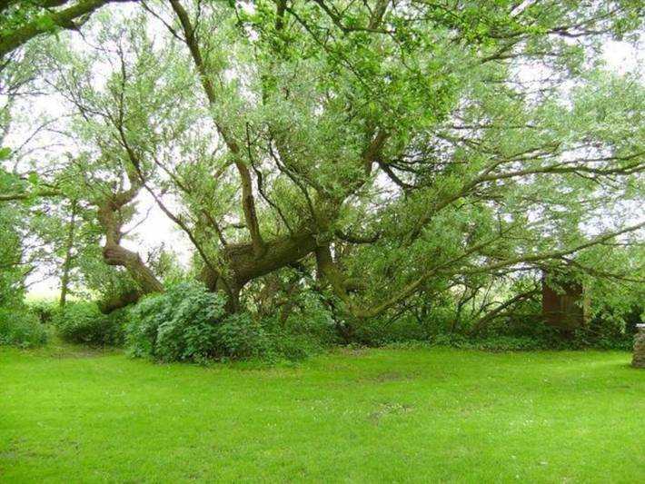 Ganze Ferienwohnung, Pension Bed & Breakfast hinterm Nordseedeich - Zimmer 9 Dz  mit 2 Einzelbetten in Friedrichskoog, Kreis Dithmarschen