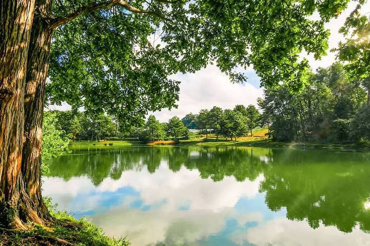Mobil home pour 4 personnes à Douville - 4