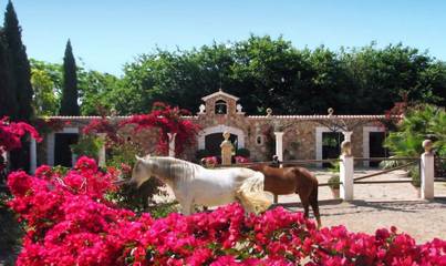 Villa in Binissalem, Mallorca Inselmitte für 10 
