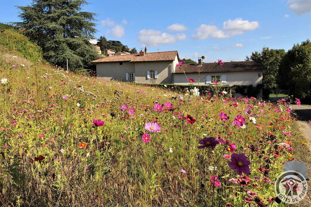 Photo : Maison de vacances