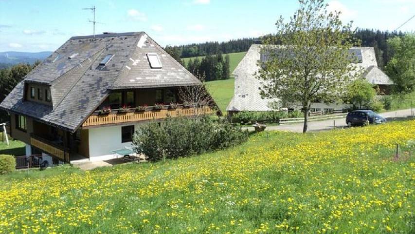 Bauernhof für 6 Personen, mit Sauna und Balkon sowie Garten, kinderfreundlich im Südschwarzwald