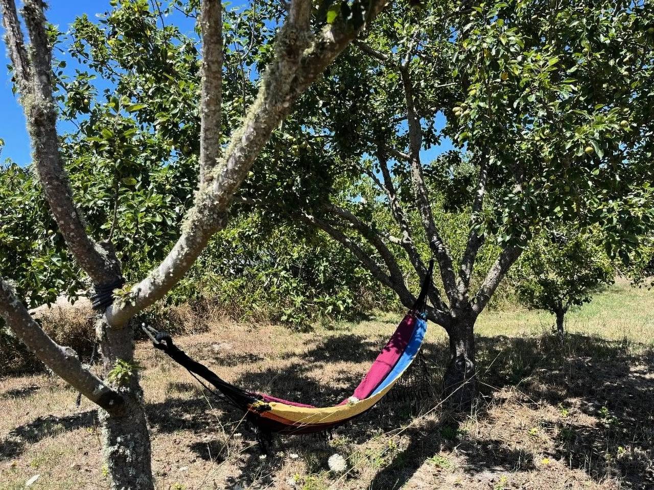 Maison 4 Personnes in Rogil, Parque Natural do Sudoeste Alentejano e Costa Vicentina