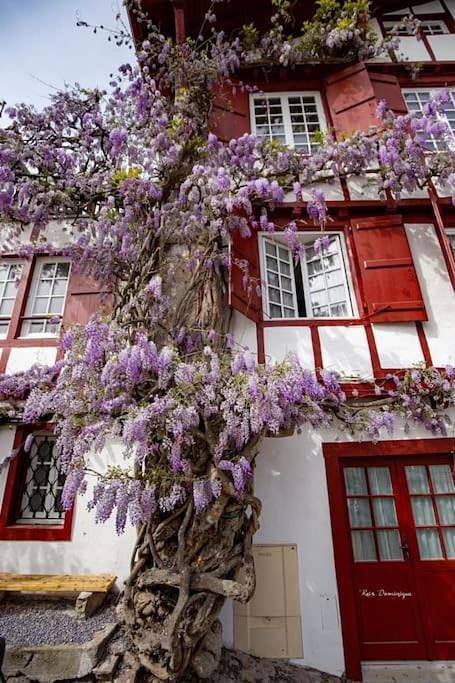 Gîte pour 4 personnes dans Gare De Saint Jean De Luz - 4