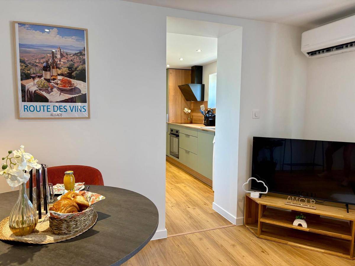 Appartement entier, Entre Terre et Vignes - Studio climatisé in Marlenheim, Nord de l'Alsace