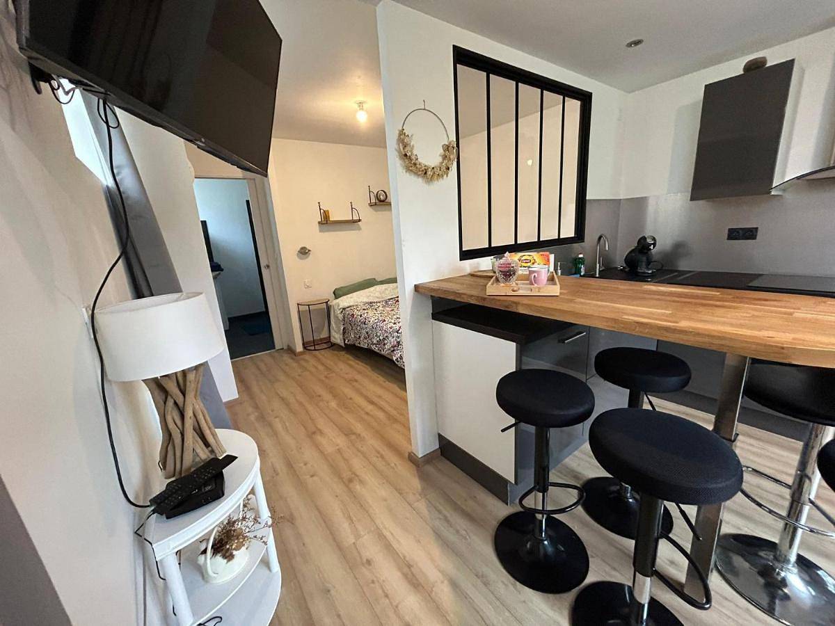 Appartement entier, One-Bedroom Apartment in Sainte-Savine, Aube