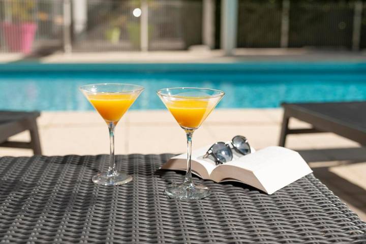 Location de vacances pour 3 personnes, avec jardin et piscine, animaux acceptés à Saint-Paul-lès-Dax - 3