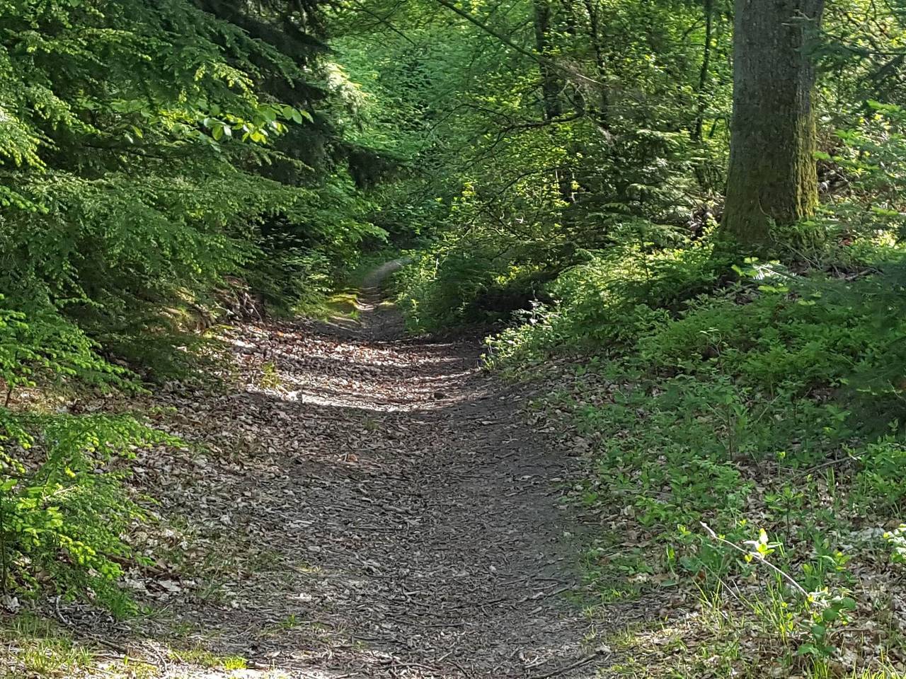 30 person ferie hjemme i Ebeltoft in Ebeltoft, Sør-Djursland