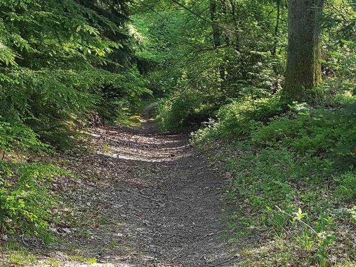 Location de vacances pour 30 personnes, avec terrasse, animaux acceptés à Ebeltoft - 3