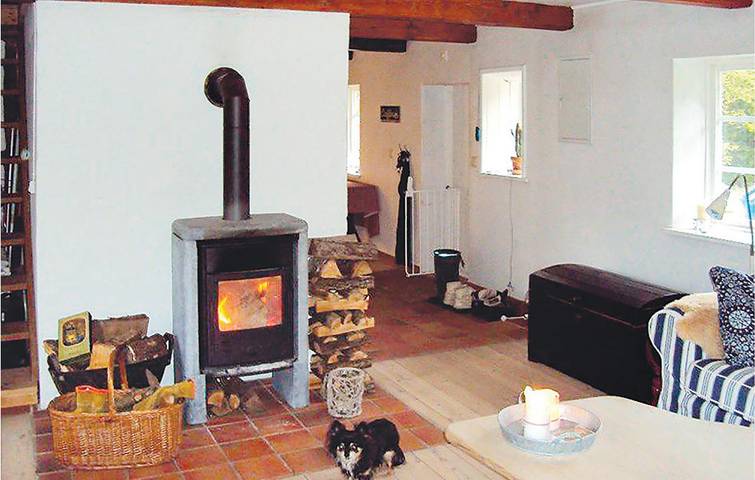 Location de vacances pour 6 personnes, avec terrasse et jardin, animaux acceptés dans Skåneland - 4