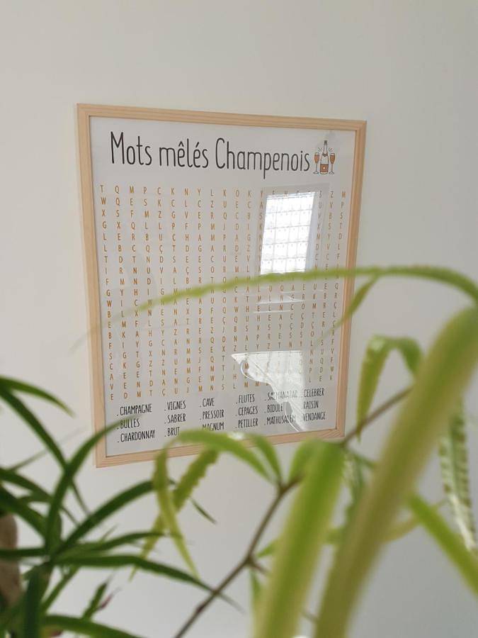 Location de vacances pour 4 personnes, avec terrasse à Hermonville - 3