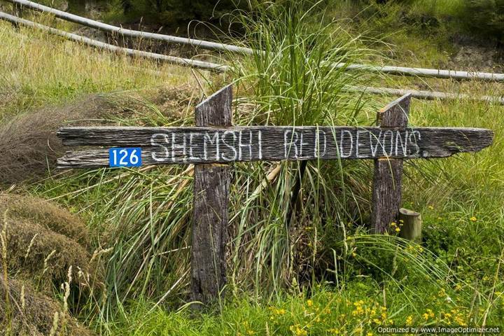 Chambre d’hôte pour 2 personnes, avec piscine et jardin ainsi que terrasse et jacuzzi dans Nouvelle-Zélande - 2