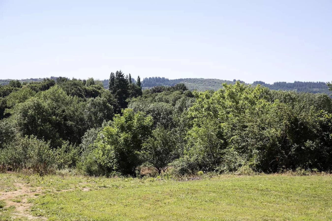 Gîte de France 15 persone in Biondismo, Bellac e dintorni