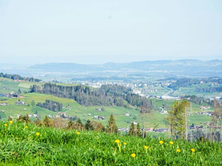 Panoramablick - Panoramablick 100.1 in Haslen AI, Schlatt-Haslen