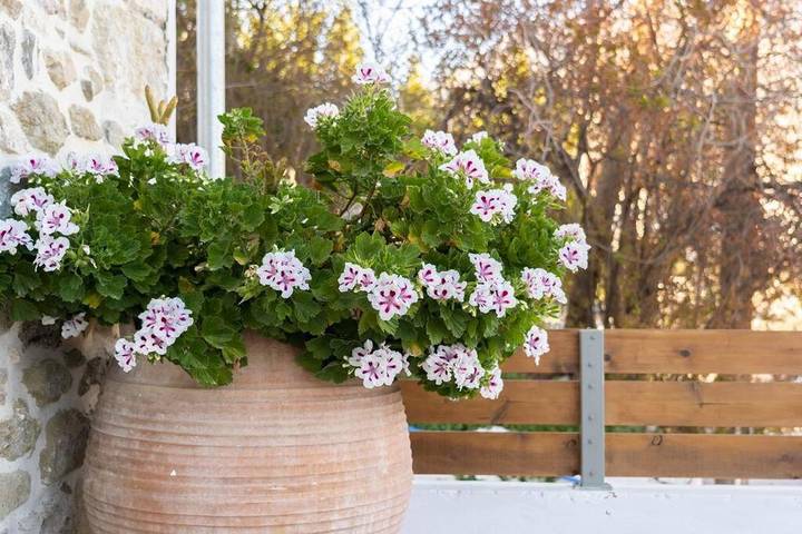 Location de vacances pour 3 personnes, avec vue et terrasse ó Zarós - 2