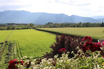 Bauernhof für 6 Personen in Seeboden, Millstätter See, Bild 2