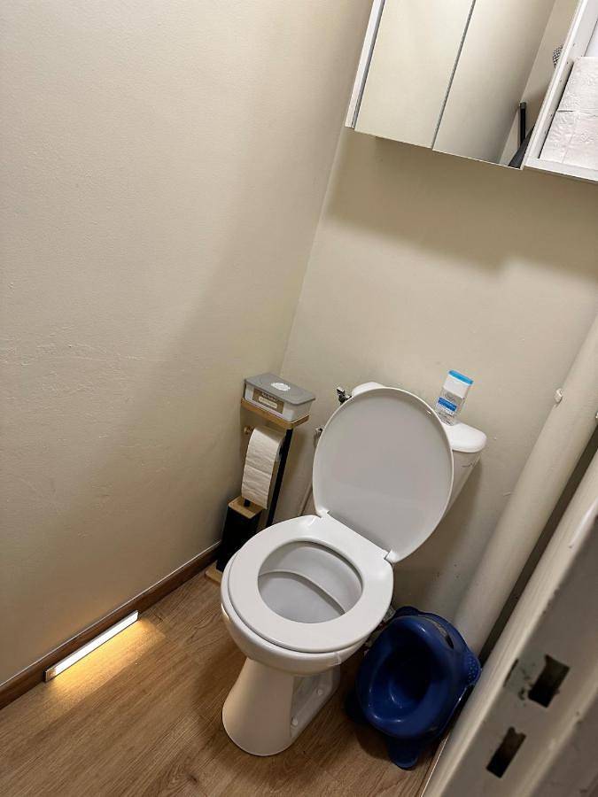 Location de vacances pour 6 personnes, avec balcon à Vendeuvre-sur-Barse - 2