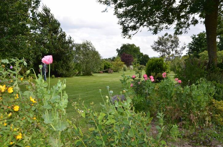 Gîte pour 2 personnes, avec jardin et terrasse à Plancoët - 3