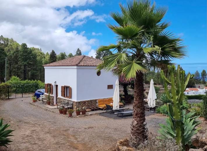 Villa pour 4 personnes, avec jardin, animaux acceptés à Tenerife - 4