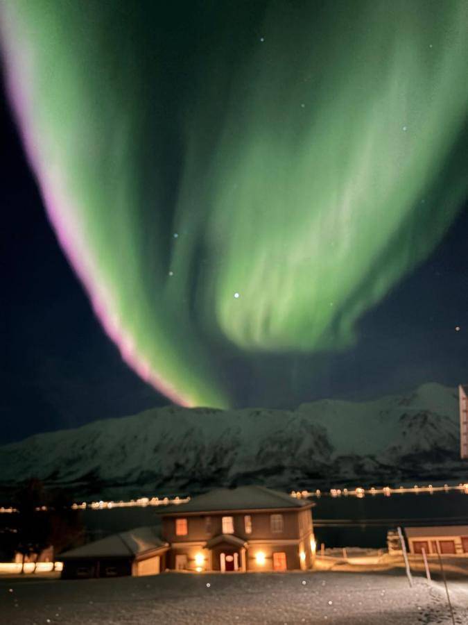 Ferienwohnung für 4 Personen, mit Garten und Ausblick in Lyngen - 2