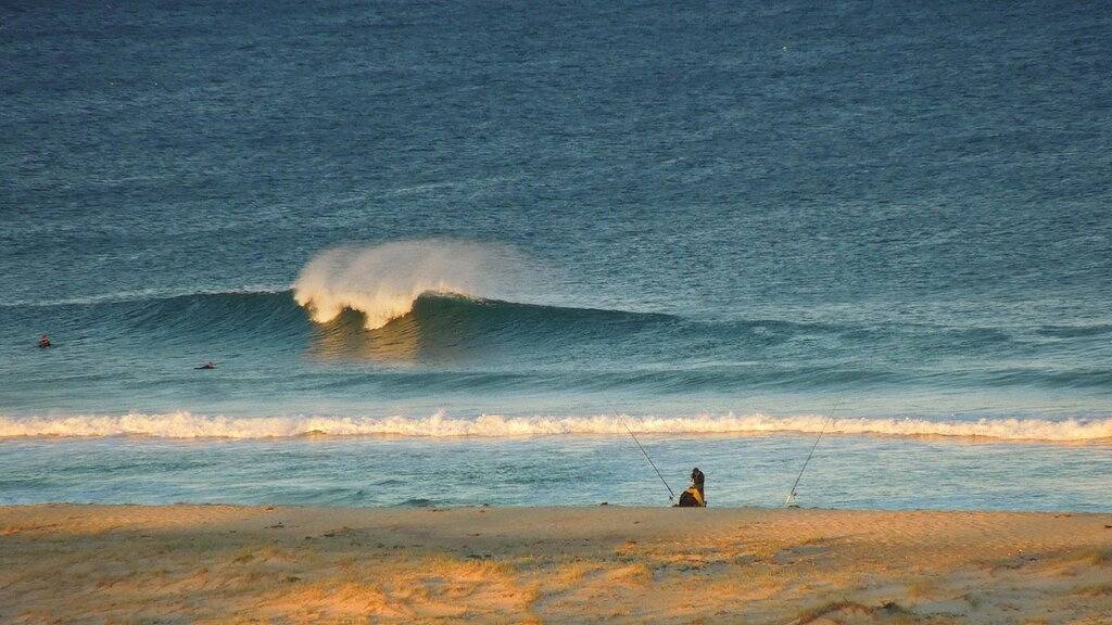 Ganze Wohnung, Meerblick, Sundrift- Einheit 26 in The Entrance, New South Wales