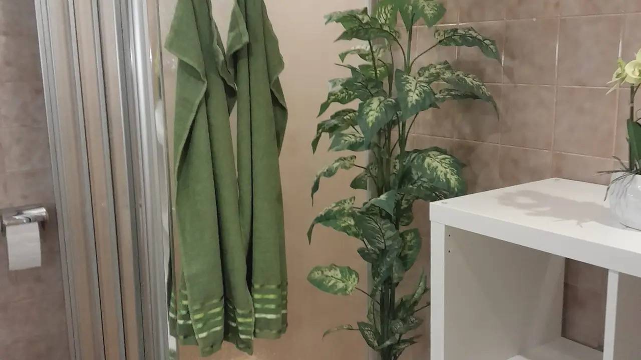 Ganze Ferienwohnung, Ferienwohnung für 4 Personen (30 m²) in Laufen in Laufen, Rupertiwinkel