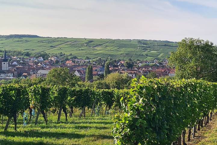 Holiday home for 4 people - 1