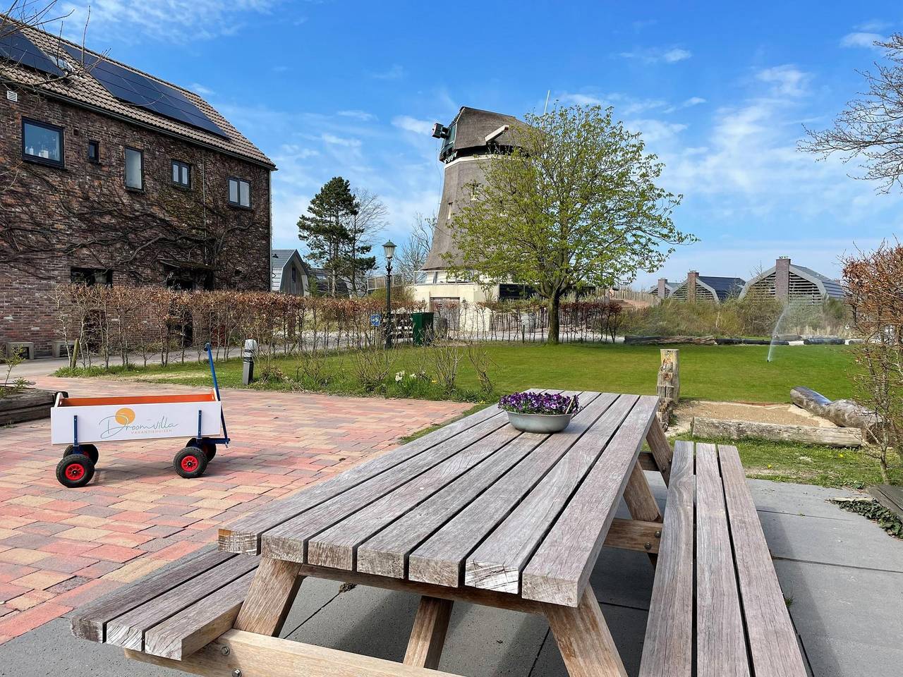 Droomvilla Vakantiehuizen — Tussen Duin en Strand in Egmond aan den Hoef, Alkmaar & Umland