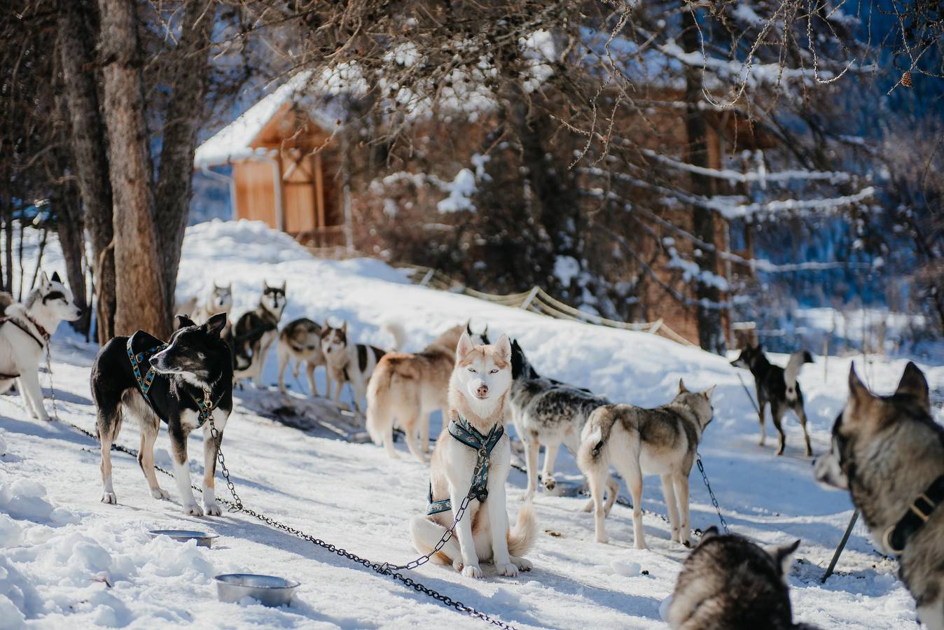 Ganzes Studio, Résidence Sunêlia les Logis d'Orres - Studio für 3 Personen in Les Orres, Nationalpark Écrins