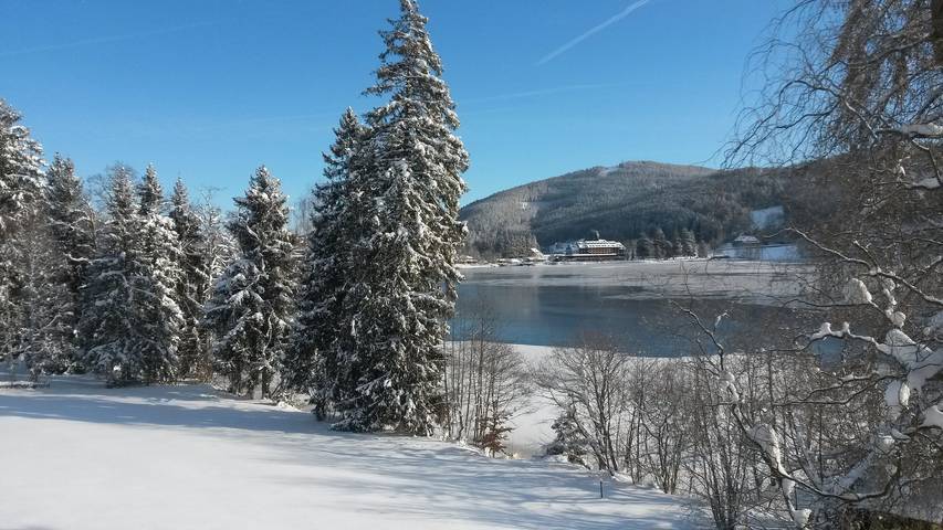 Ferienhaus am Titisee - mit Seeblick & eigenem Seezugang, Hinterzarten in Titisee (Titisee-Neustadt), Hinterzarten