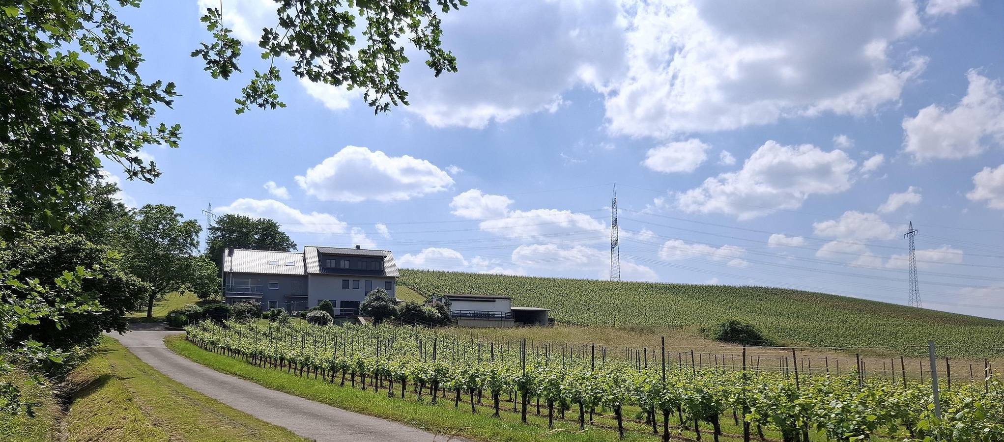 Ganze Ferienwohnung, Ferienwohnung "Auf Plandert" in Riol, Moseleifel